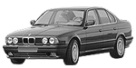 BMW E34 P2B1F Fault Code